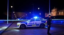 Drama u švedskoj kraljevskoj palači: Policija pucala na muškarca s oružjem. Ranjen je!