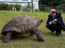 How Jonathan the giant tortoise can offer clues on helping humans live longer... as he's set to celebrate his 195th birthday