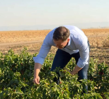 MALI BRAO PAPRIKE! Pa posle rada na njivi seo sa domaćinima da ruča: Podsetio sam se i omiljenog jela iz detinjstva - hleba i masti i odozgo aleva paprika VIDEO