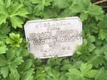 RICHARD EDEN: Strange case of a missing memorial to Cecil Rhodes
