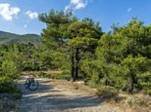 Swarms of powerful e-bikes descend on Maine's famous Acadia National Park, spooking horses and leaving locals too frightened to go outside for fear of being run over