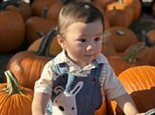 Tragedy as adorable boy, 2, is run over and killed while picking pumpkins with his family