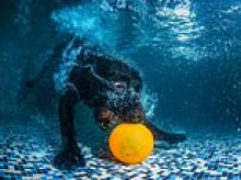 The best in show from the 2026 Dog Photography Awards