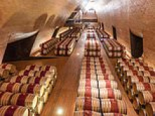 The £4million wine heist: Connoisseur gang steal 30,000 bottles of vino in Italy's biggest vineyard theft