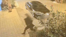 Ovo je navodna snimka napada na svećenika kojem su probali ukrasti jastreba: 'Izvukli su nož'