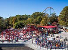 One person dies after falling off Georgia's biggest roller coaster as Six Flags theme park is evacuated