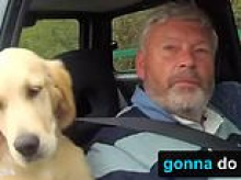 Moment drink-driver with golden retriever in the back seat narrowly avoids smashing into other cars on M5 - before police find him FOUR times over alcohol limit