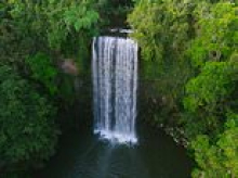 Japanese tourist drowns at popular Aussie tourist spot Millaa Millaa Falls