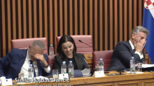 VIDEO Hajdaš Dončić pričao o Marici, Slavku i Anti u Saboru. HDZ-ovci prasnuli u smijeh
