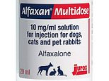 Vet nurse struck off after injecting himself with dog anaesthetic and being found naked at practice
