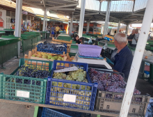 Domaćin iz Prokuplja u čudu zbog prizora na voćkama: Da li je ovo najava zime sa jakim mrazevima?