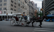 New York planira ukinuti vožnje kočijama u Central Parku