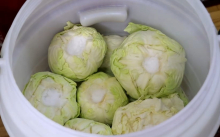 Počinje sezona kiselog kupusa, a cene šokiraju! Srbi ovde mogu da kupe i prođu duplo jeftinije 