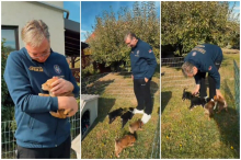 BOLESNIJE OD OVOGA NE MOŽE! Blokaderi udarili na Vučićevu decu i još jednom pokazali PRAVO, KRVOLOČNO LICE: Predivnu scenu iskoristili za NAPAD NA PORODICU