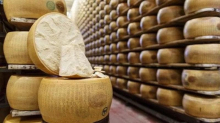 Visit Italy racconta le terre del Parmigiano Reggiano