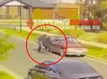CCTV captures woman's screams after man is shot dead outside his suburban home in Melbourne as cops probe suspected gangland hit