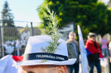 'RUZMARIN' ODJEKUJE NOVIM SADOM! Ujedinjena Srbija je stigla u Srpsku Atinu! SVI UGLAS PEVAJU - OVO JE DA SE NAJEŽIŠ! (VIDEO)