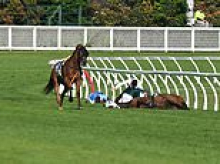 Caulfield Cup tragedy as mare Ohope Wins is euthanased after nasty fall near finish line of 2,400m race
