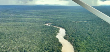 Brasilien: So wenig Regenwald wurde seit 40 Jahren nicht mehr abgeholzt