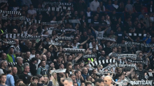 Šansa za Partizan? Nekadašnji deveti pik na NBA draftu dobio otkaz