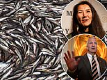 The very fishy issue in Alaska that could determine Senate control as locals admit 'it stings a bit'