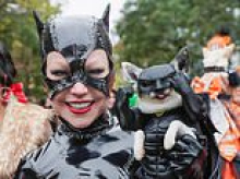 Happy Howl-o-ween! Dogs don their best fancy dress for spooky street party