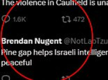 Inside the social media account linked to Helen Haines' accused attacker - that was followed by the politician before she was run down