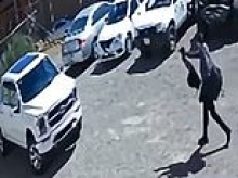 Terrifying moment dentist is shot to death by furious patient whose loose tooth sent him into a murderous rage