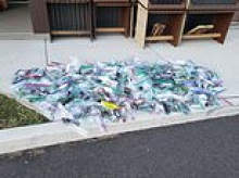 At least 1,000 migratory birds died slamming into Chicago's skyscrapers over the weekend, with heartrending photo showing their corpses placed in tiny bags