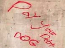 Alarming message left on house after suspected arson: 'Pay your debt dog'
