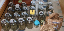Policisti na območju občine Trebnje zasegli okoli deset kilogramov prepovedane konoplje