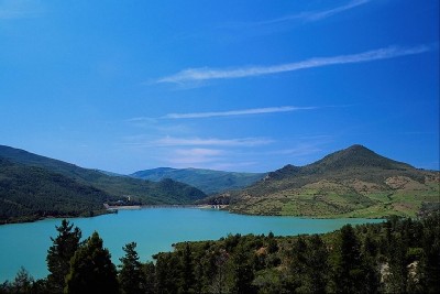 Voščilnica