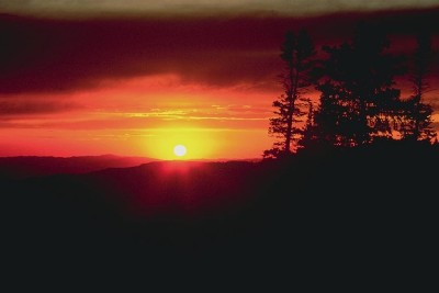 Voščilnica
